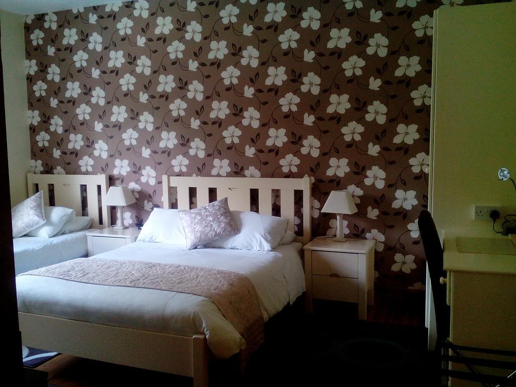 סווינפורד Deerpark Manor Bed And Breakfast מראה חיצוני תמונה